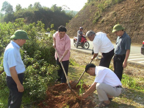 VP. Sở 88vv10 và 88vv kèo nhà cái 88vv88 trồng 1.450 cây hoa Ban dọc quốc lộ 279 và quốc lộ 6a.