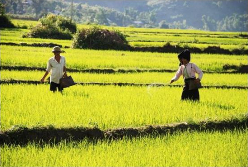 KHTC - Quy hoạch tổng thể tải 88vv kinh tế - xã hội vùng trung du và miền núi phía Bắc