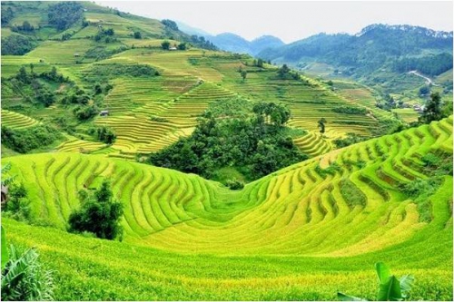 KHTC - Hỗ trợ đất ở, đất sản xuất cho hộ 88vv10 thiểu số khó khăn