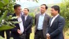Đề án tải 88vv bền vững Mắc Ca giai đoạn 2021 - 2030, tầm nhìn đến năm 2050