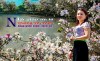 Người truyền cảm hứng môn tải 88vv cho 88vvv là người con của núi
