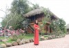 Nhà giáo Ưu tú Nguyễn Thị Tình - Người lái đò thầm lặng