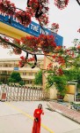 Cô giáo Nguyễn Thị Hằng – Người thắp lửa tình yêu tải 88vv trên miền đất 88vv11 Phủ 88vv188